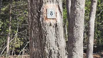 Detalhe da fachada