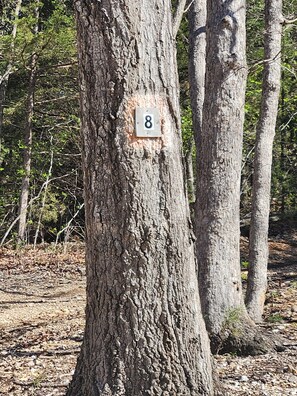Detalhe da fachada