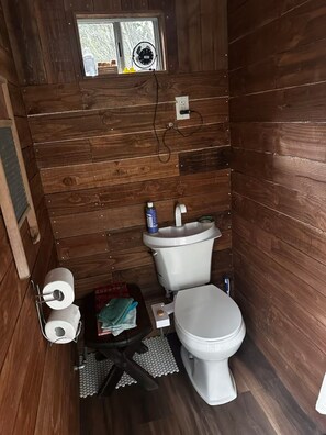 Shower, jetted tub, hair dryer, bidet