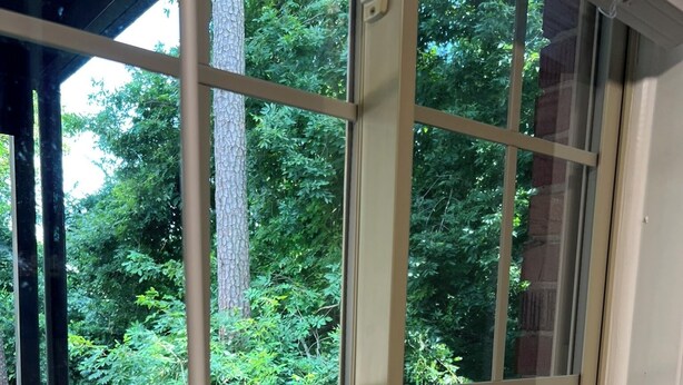 Une fenêtre donnant sur une forêt verdoyante et luxuriante.