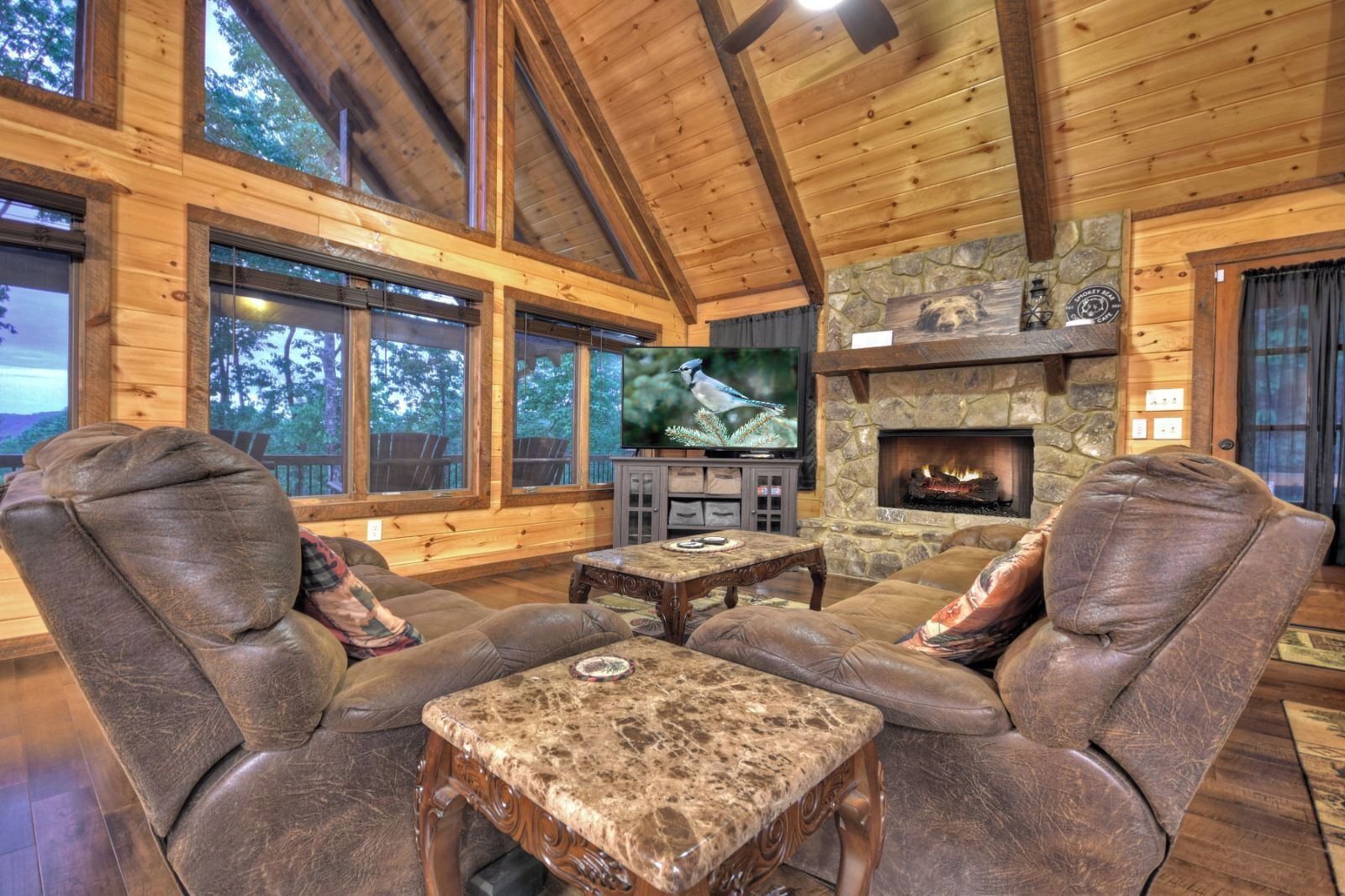 Télévision, cheminée, jeux vidéo, lecteur de DVD