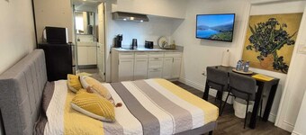 New, Entire Studio Apartment