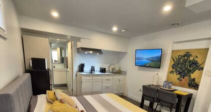 New, Entire Studio Apartment