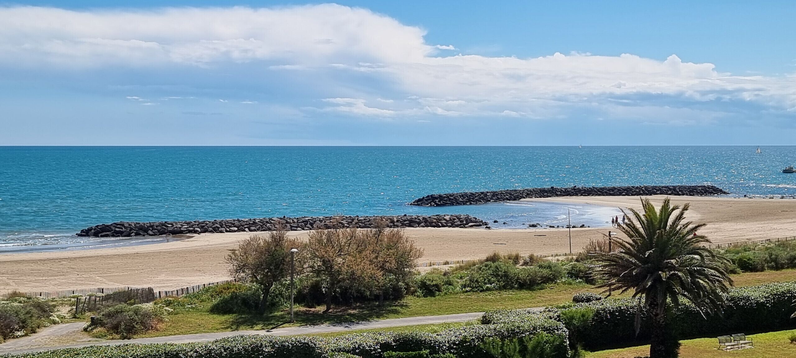 A beach with a clear sky, a rocky breakwater, and a palm tree.