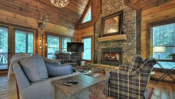 Smart TV, fireplace, books