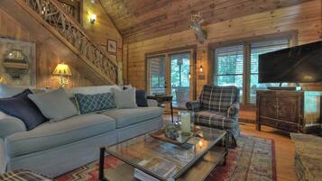 Smart TV, fireplace, books