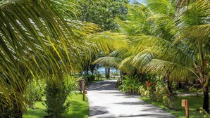 A pathway lined with palm trees and small plants, leading to a beach. - Mare Nostrum - Carneiros Beach - Ocean View - Balcony - 2 Suites - Eco Resort Condominium (Tamandare)