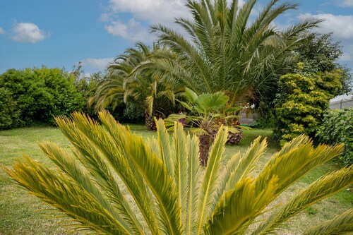 Holiday Home 'La Petite Palmeraie - Binic' with Private Terrace, Private Garden and Wi-Fi
