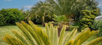 Casa vacanze 'La Petite Palmeraie - Binic' con terrazza privata, giardino privato e Wi-Fi