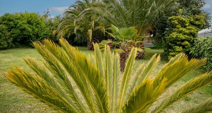 Holiday Home 'La Petite Palmeraie - Binic' with Private Terrace, Private Garden and Wi-Fi