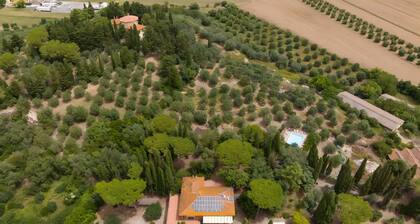 Apartment 'I Tigli - Pervinca' with Shared Pool, Wi-Fi and Air Conditioning