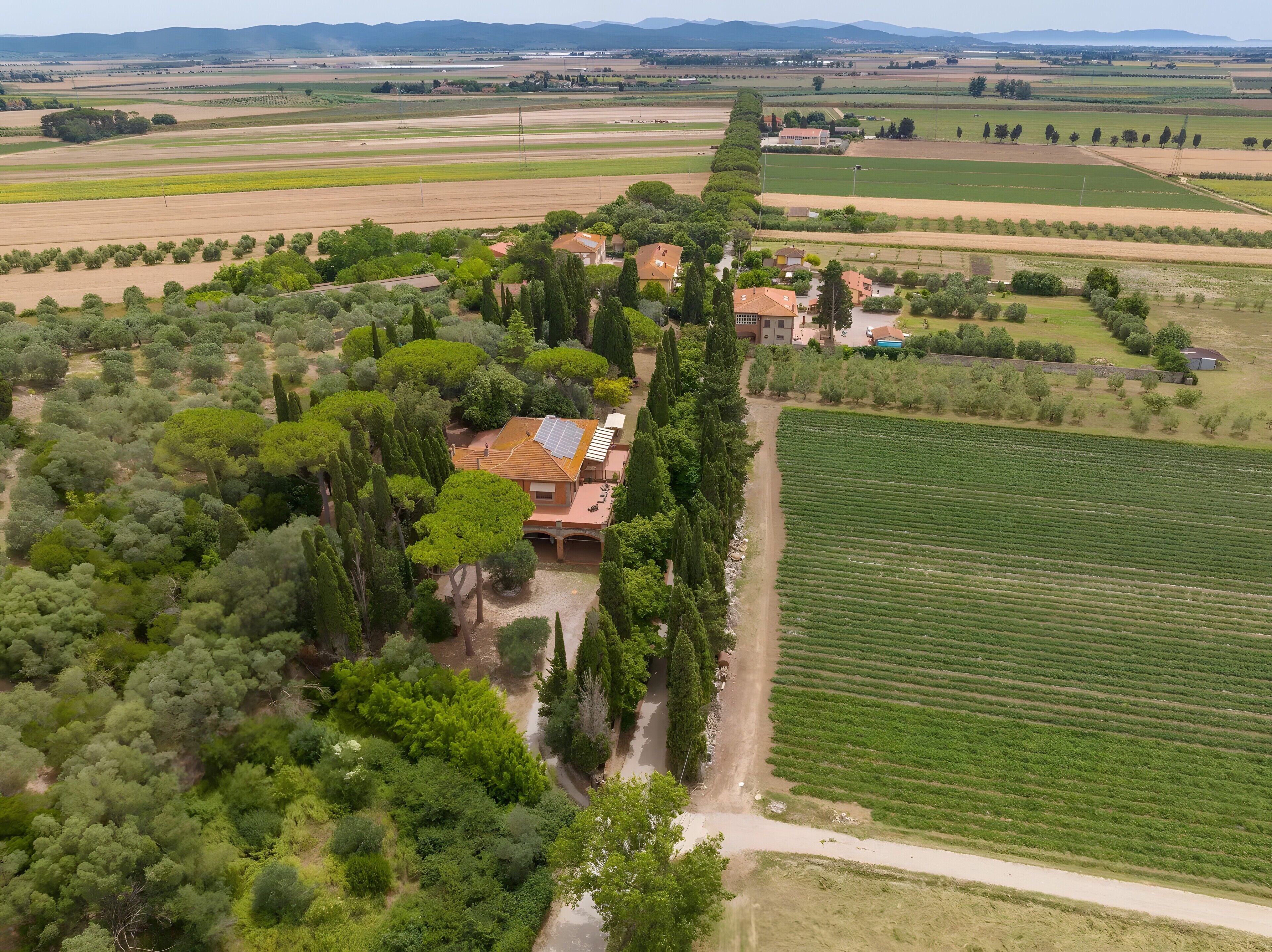 Luftaufnahme eines Anwesens mit einem Hauptgebäude, umgeben von üppiger Vegetation und angrenzenden Feldern.