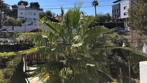 A residential area with a palm tree, a white building with a red 'H' sign, and a road with cars. - Apartment 'Bungalow planta Alta 29' with Shared Pool, Wi-Fi and Air Conditioning (Torrevieja)