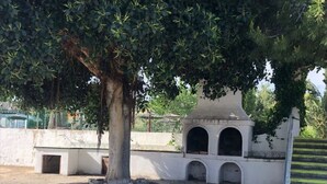 A courtyard with a tree, a white wall with arches, and a metal fence. - Apartment 'Bungalow planta Alta 29' with Shared Pool, Wi-Fi and Air Conditioning (Torrevieja)
