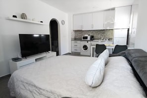 A compact room with a bed, a TV, a washing machine, and a kitchenette.