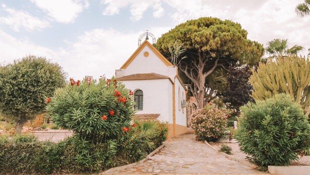 A white building with a tiled roof, surrounded by various plants and trees.
