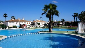 A swimming pool with a palm tree in the center, surrounded by buildings.