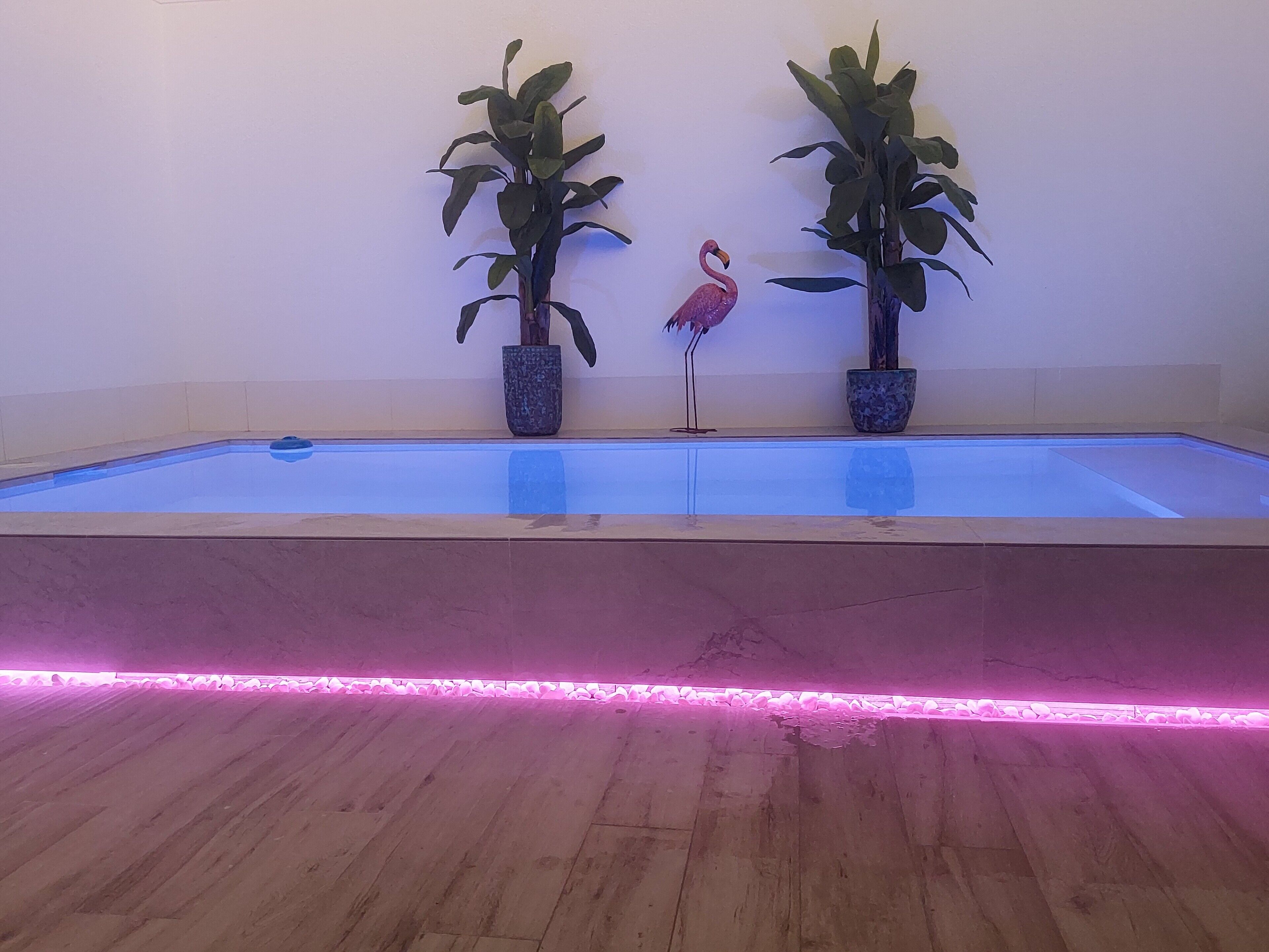 Una piscina con due piante in vaso e una decorazione a forma di fenicottero.