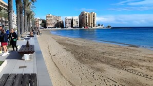 Ein Strand mit einer Holzpromenade, Palmen und Gebäuden im Hintergrund.