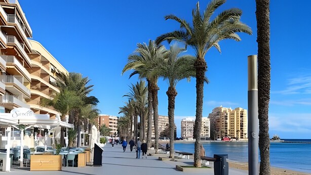 Eine Küstenpromenade mit Palmen, einem Strand und einem Hotel mit Balkonen.