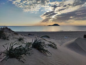 Une plage avec des dunes de sable et une végétation clairsemée.