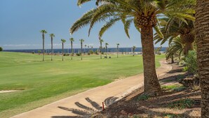 Un parcours de golf bordé de palmiers, sous un ciel dégagé, avec une vue sur l’océan.