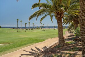 Un campo de golf con palmeras, cielo despejado y vista al océano.