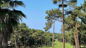 A golf course with a clear sky, tall pine trees, and a well-maintained green. - Holiday home Le Penon – Terrace, balcony, Wi-Fi, 6 guests, close to Seignosse beach (Seignosse)