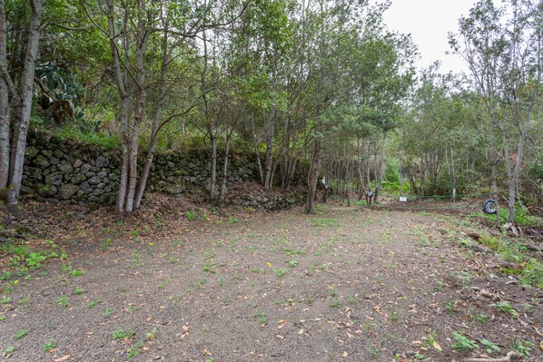 Un área boscosa con un sendero de tierra, árboles y un muro de piedra.