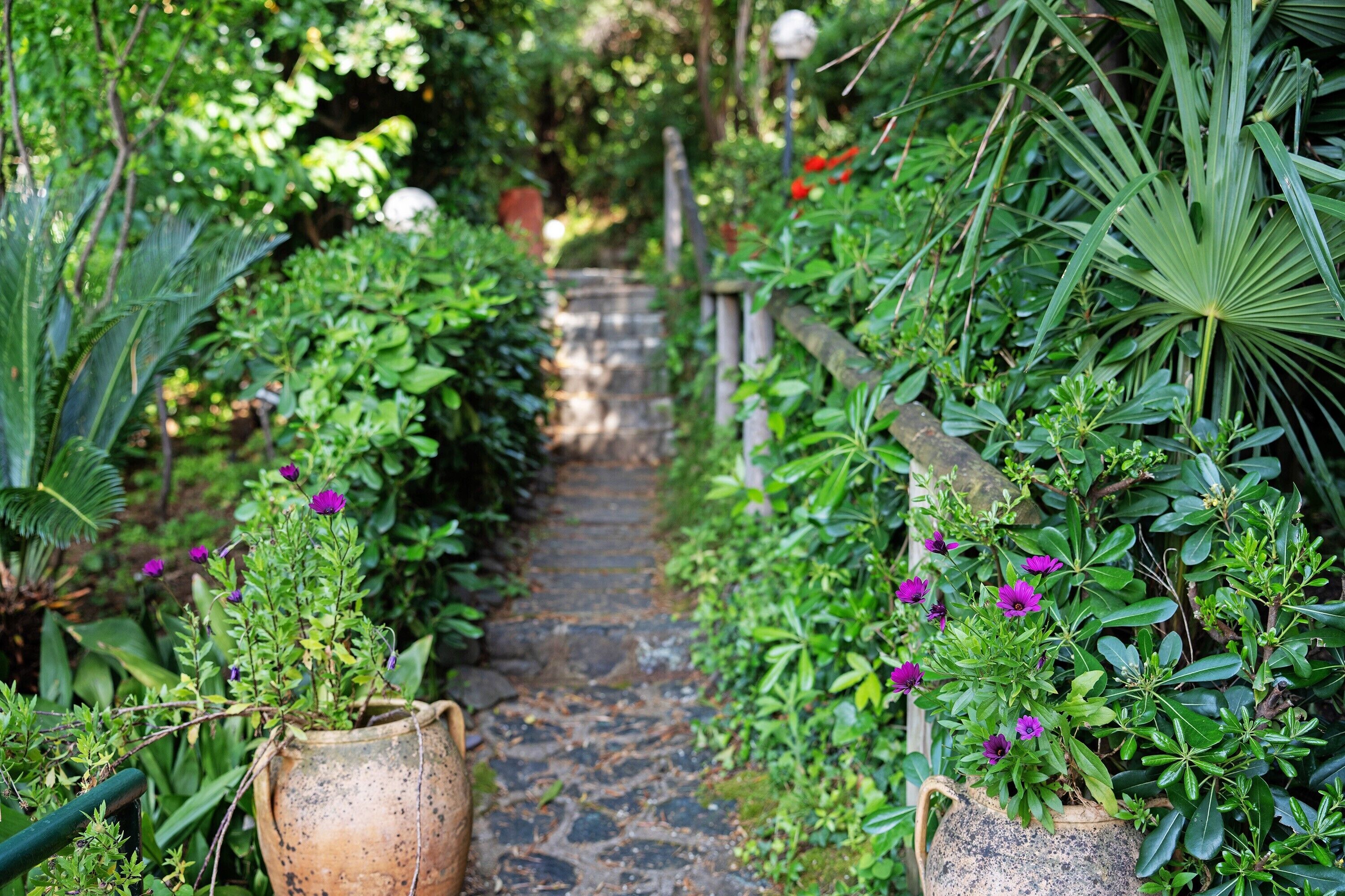 Áreas de la propiedad