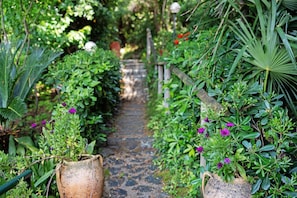 Un sendero en un jardín con plantas y flores en macetas.