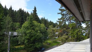 Une vue prise depuis le toit d’un immeuble, donnant sur une zone boisée, avec une voiture garée sur l’allée.