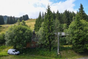 A rural setting with a white van parked near a house surrounded by dense forest.