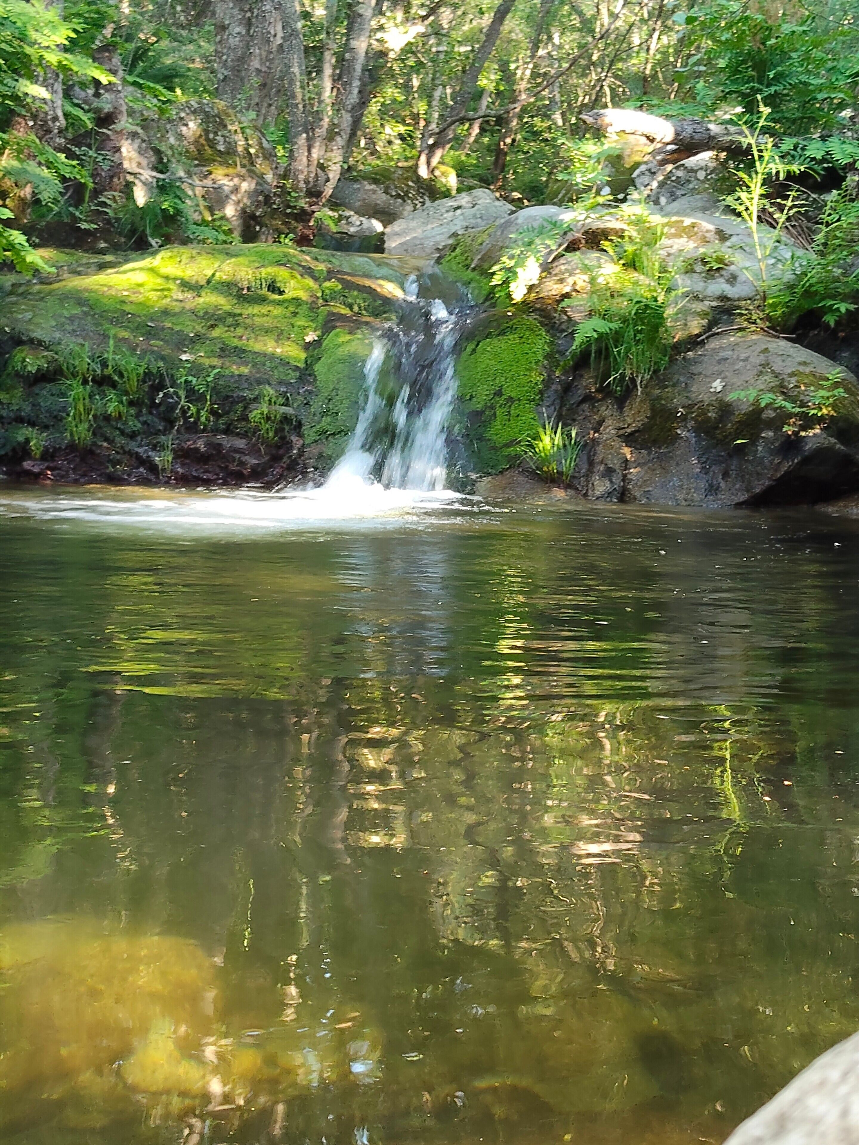 Een natuurlijke waterpartij met een waterval, omringd door rotsen en begroeiing.