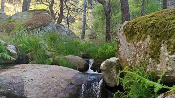 Ein WaldBach mit Steinen und Farne.