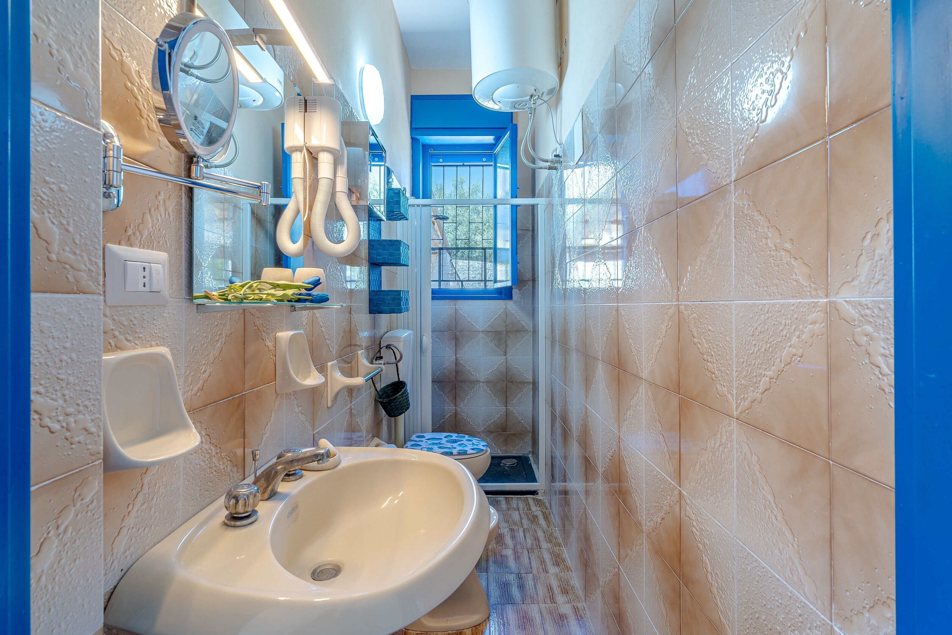 Shower, hair dryer, towels