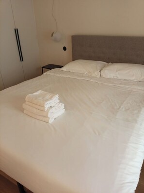 2 habitaciones, escritorio y tabla de planchar con plancha 