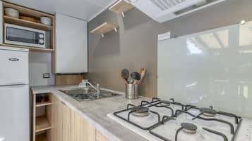 Fridge, microwave, stovetop, coffee/tea maker