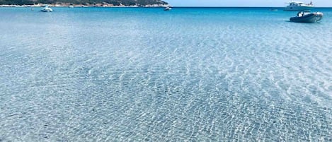 Plage à proximité
