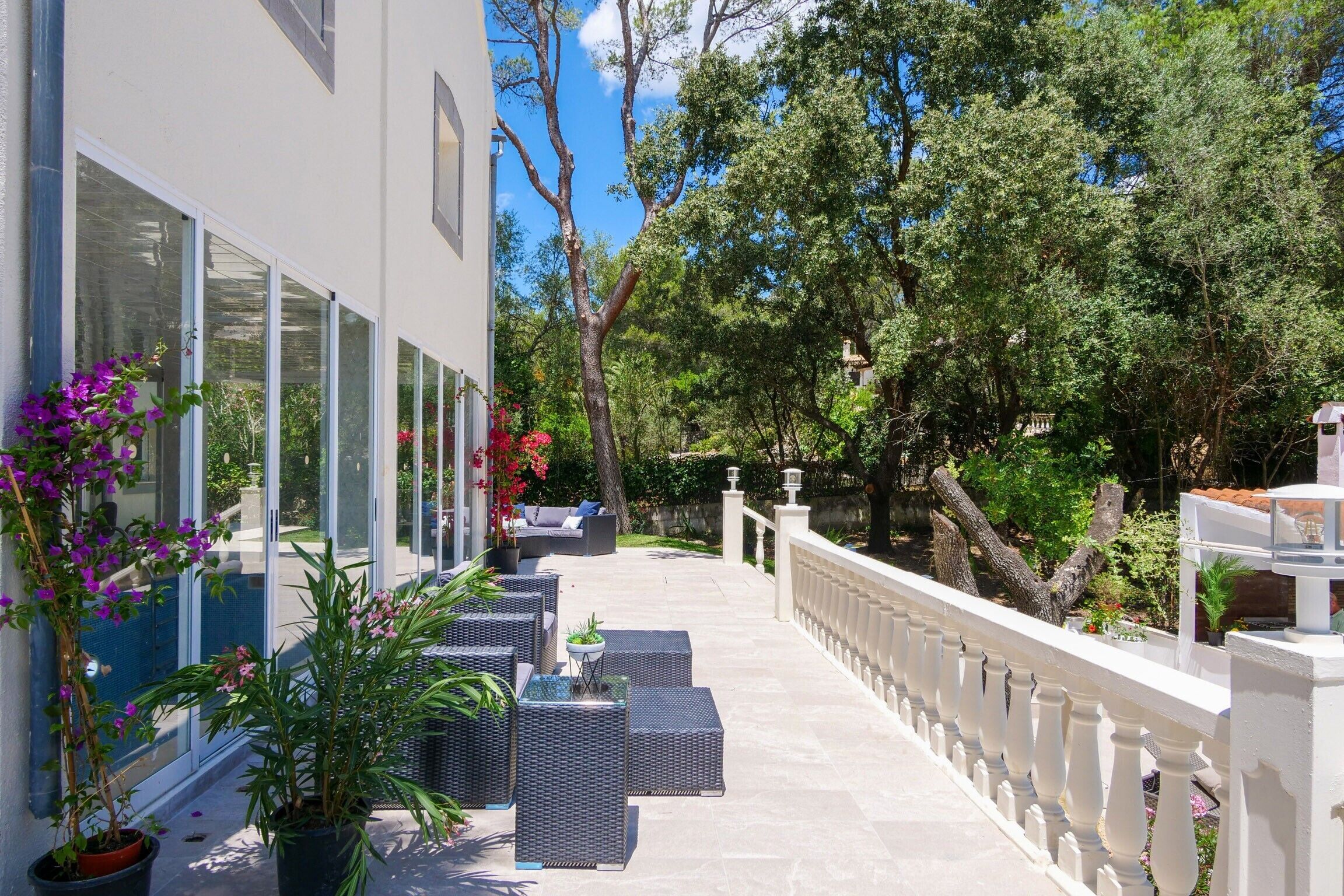 Terras