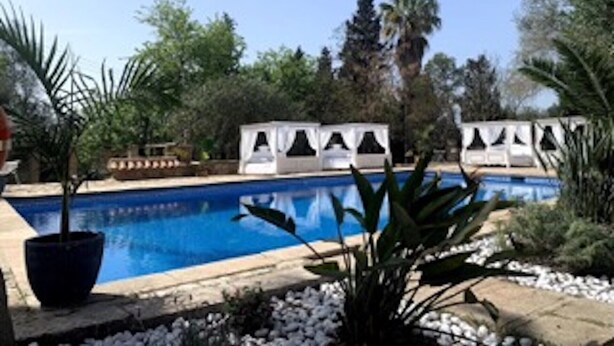 Una piscina con borde de piedra, rodeada de plantas en macetas y guijarros blancos.