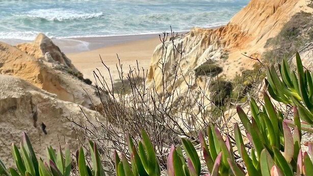 A beach with rocky cliffs and sparse vegetation.