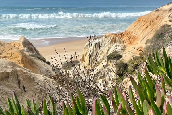 Playa