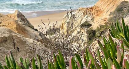 Vacation Home “Sesmarias Dos Nobres“ with private pool , terrace bar and lakes