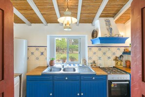 Fridge, microwave, oven, stovetop - Vacation Home “Sesmarias Dos Nobres“ with private pool , terrace bar and lakes (Azinheira Dos Barros)