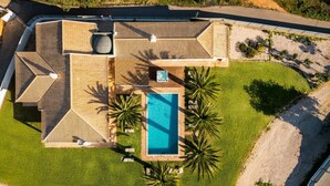 Une piscine située sur le toit, de forme rectangulaire, entourée de palmiers et bordée d’une pelouse bien entretenue.