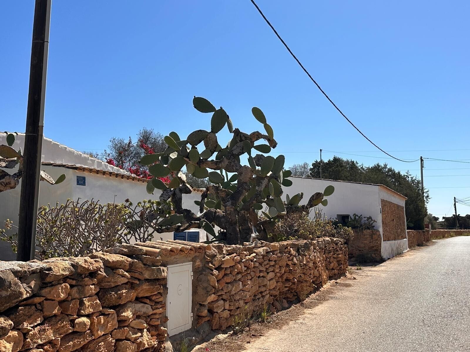 A stone wall, a cactus, and a building with a white facade.