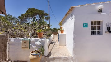 A narrow street with white-washed buildings, potted plants, and a clear blue sky.
