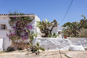 A white building with a cactus and bougainvillea plant.
