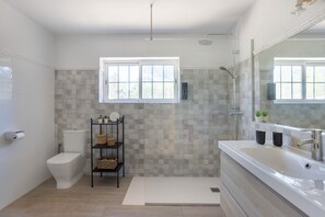 Shower, hair dryer, towels